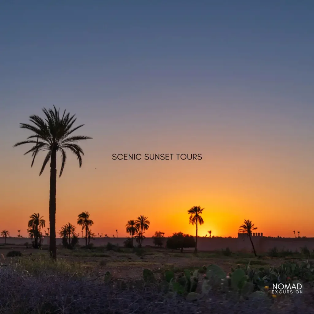 Scenic Sunset Tours