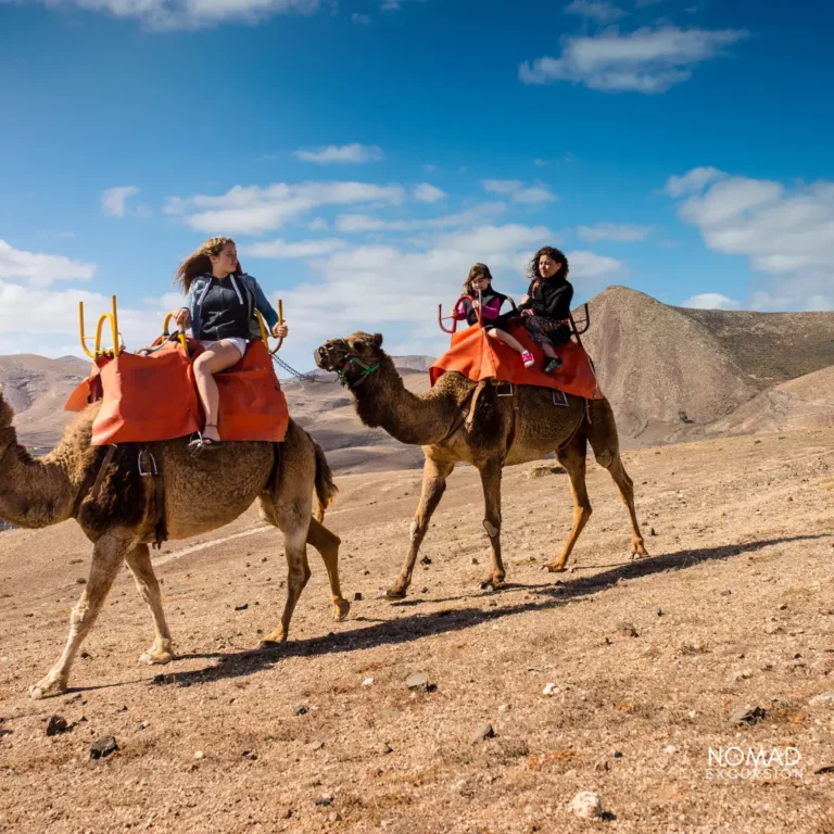 Camel Rides Marrakech