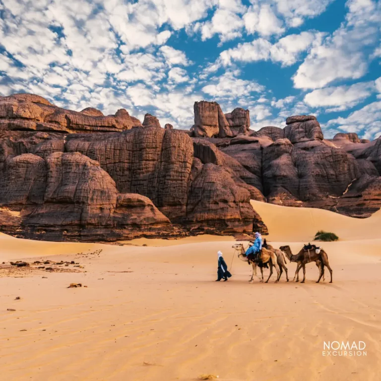 Camels Ride in Marrakech