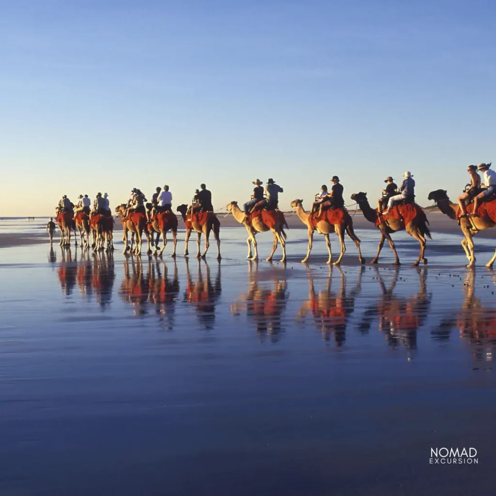 camel rides marrakech tour operators