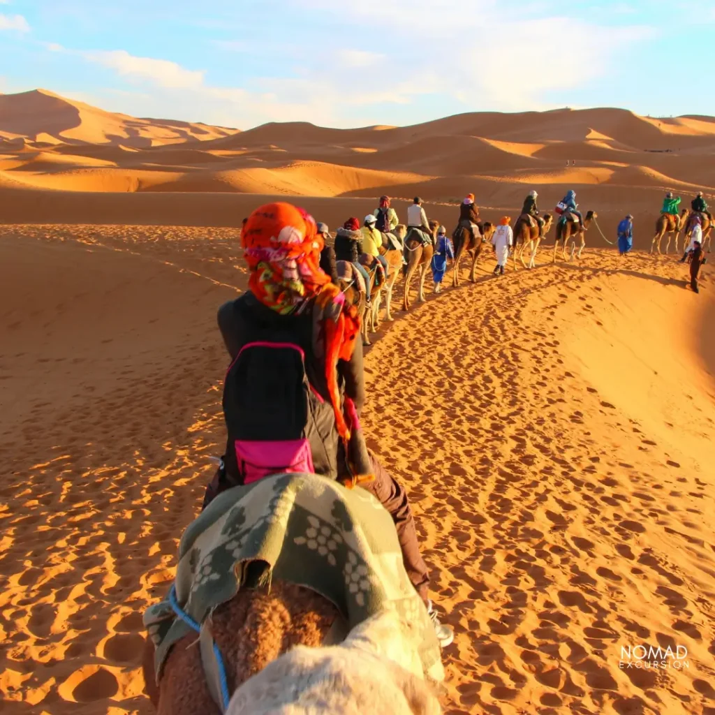 explore marrakech's rich history on a camel ride tultural tours and treks